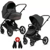 Barva 2025 Forest Green 619